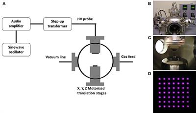 Microplasma Array Patterning of Reactive Oxygen and Nitrogen Species onto Polystyrene